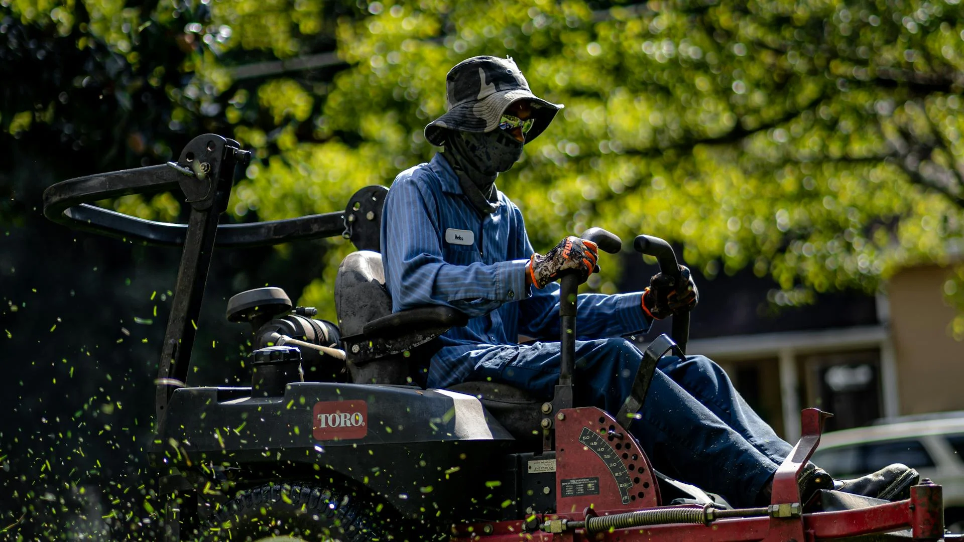 Professional landscaper working in garden