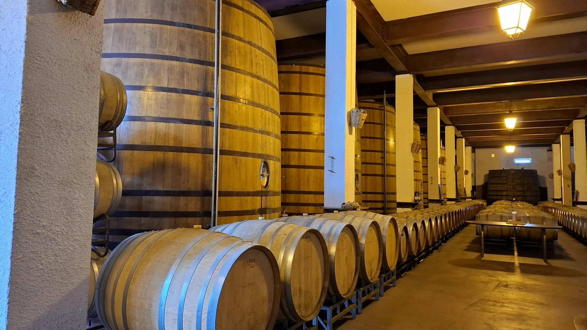 Winery building with outdoor seating and wine barrels