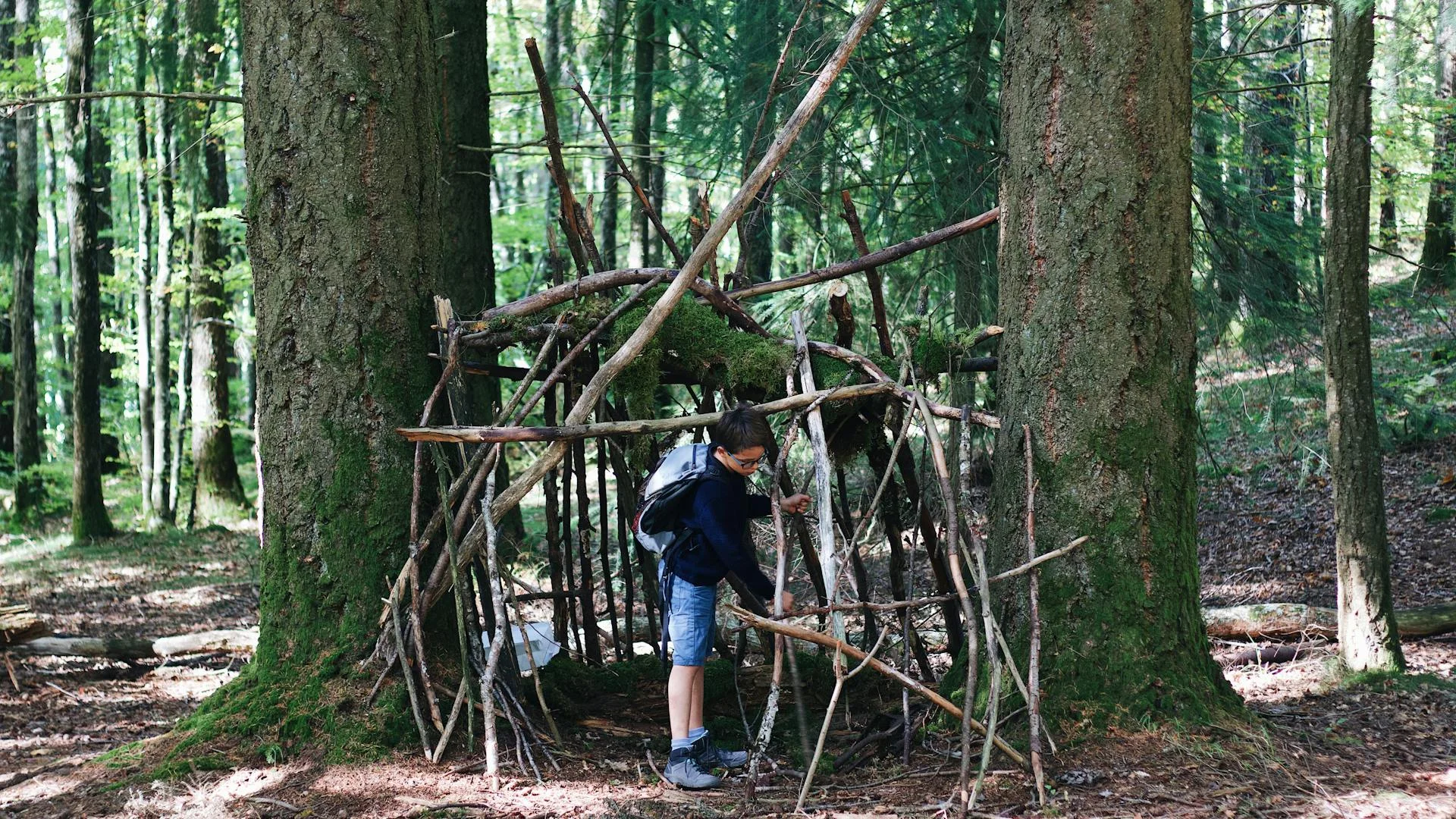 Children building a woodland den with branches and logs