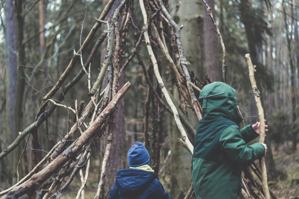 Woodland shelter constructed from branches and natural materials