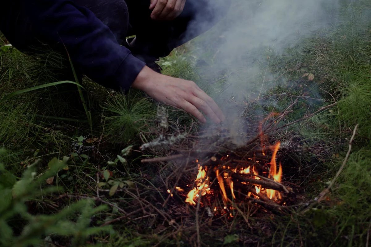Campfire in woodland setting