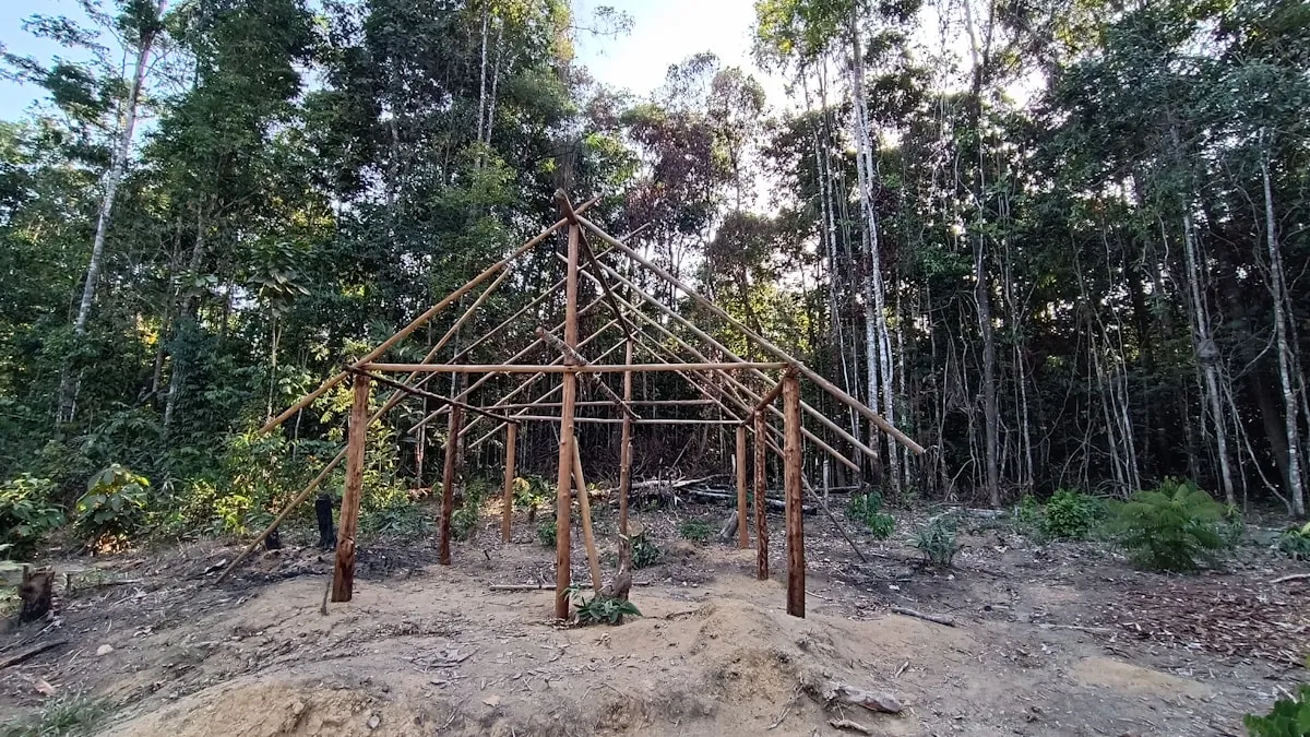 Forest school site in woodland clearing