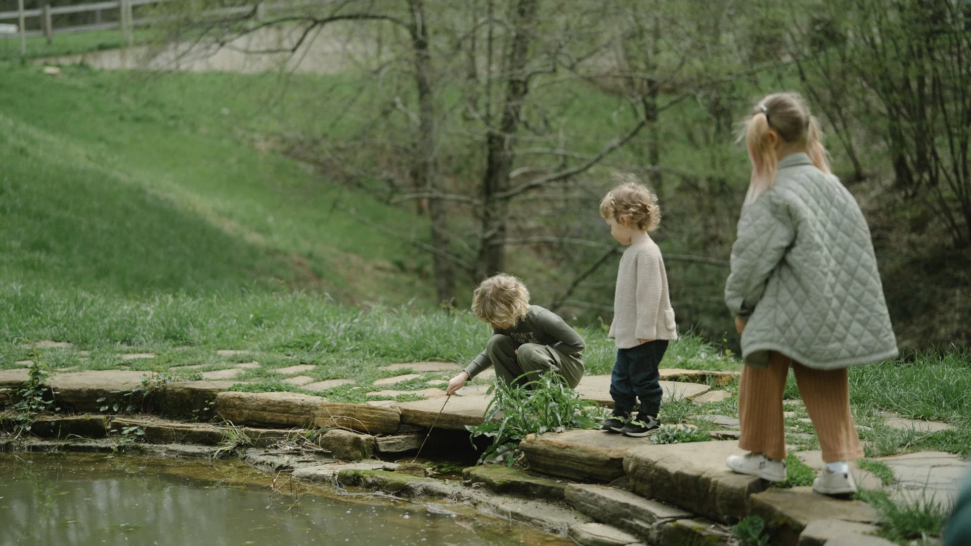 Children pond dipping with nets in a woodland pond