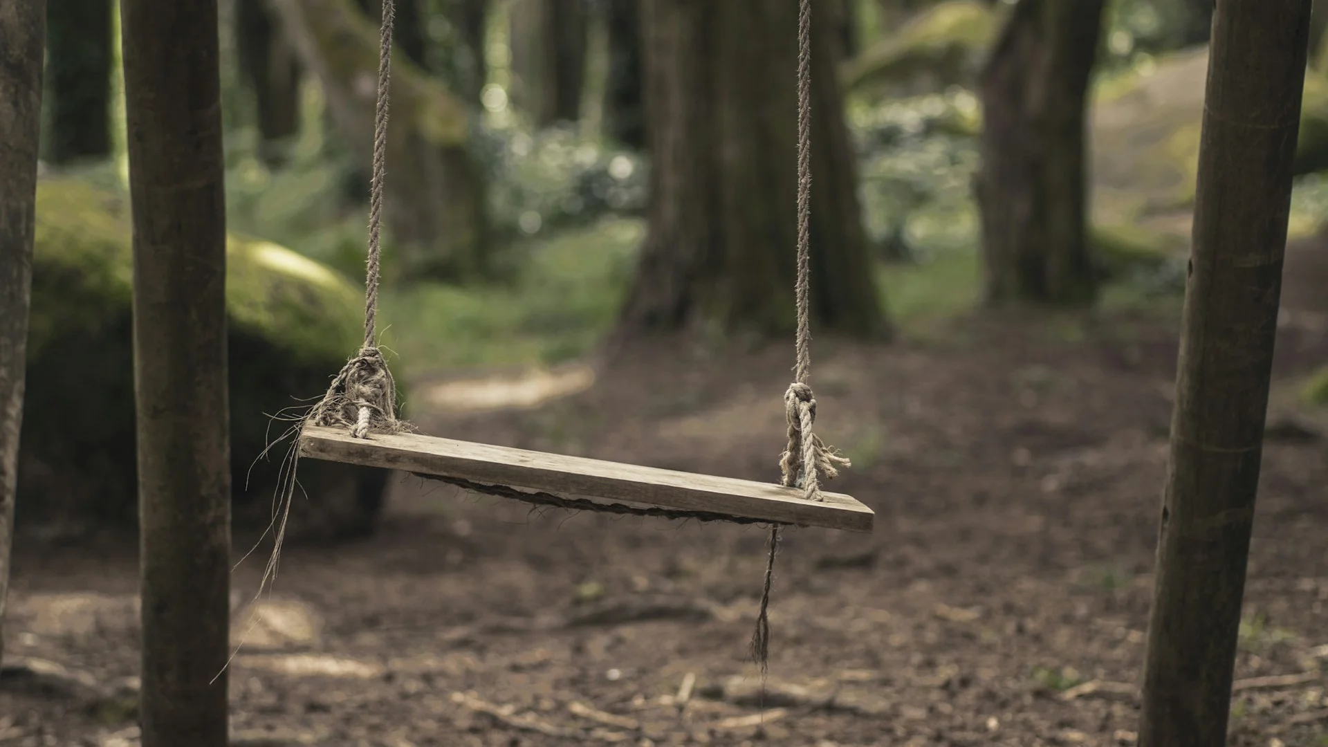 Child on a woodland rope swing