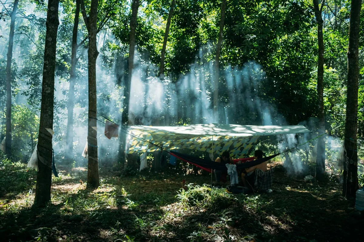 Tarp shelter setup in woodland setting