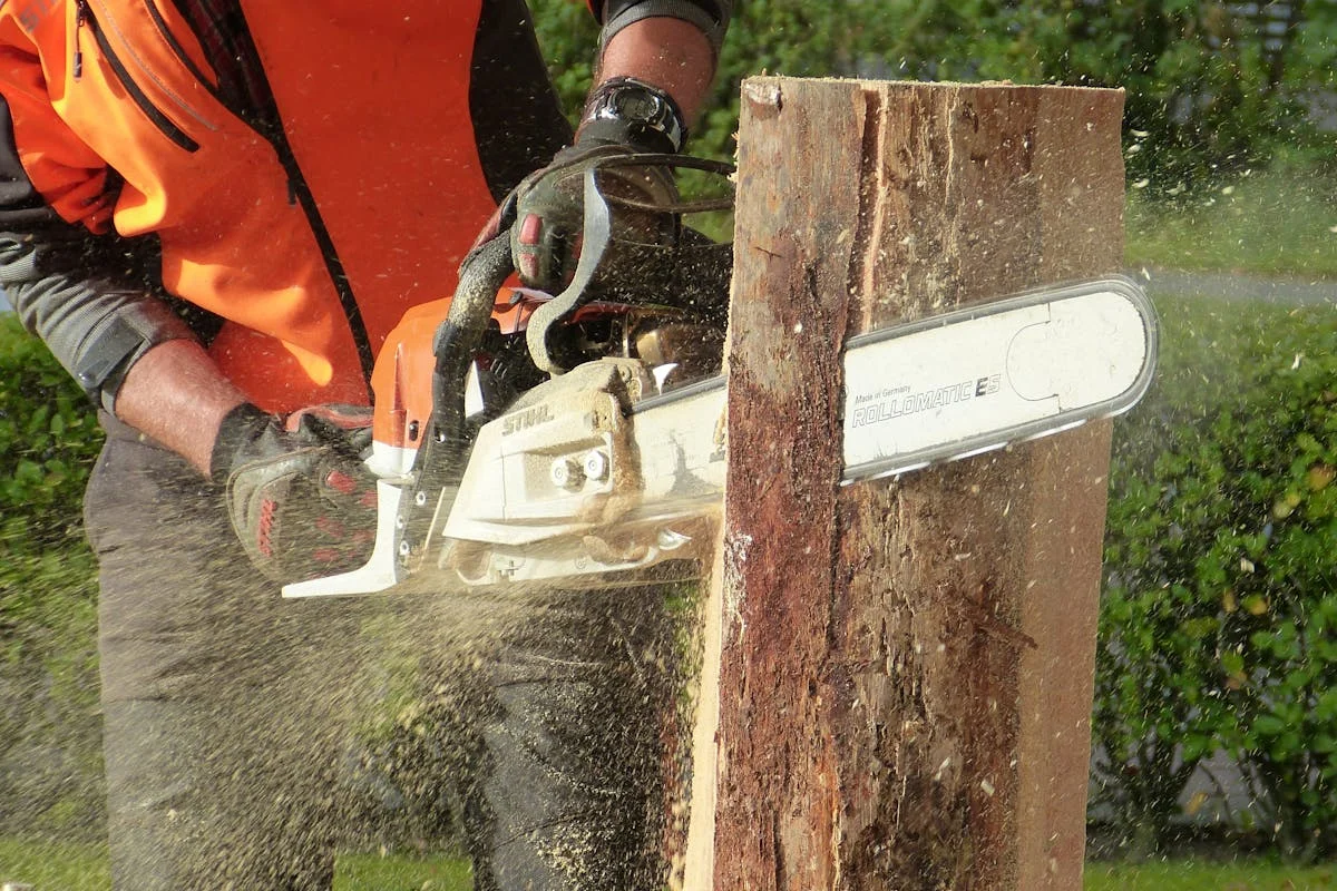 Chainsaw cutting through tree trunk