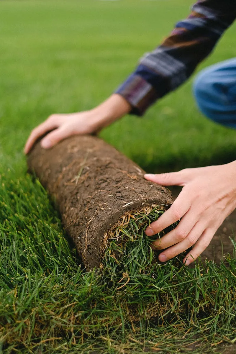 Hands laying fresh turf