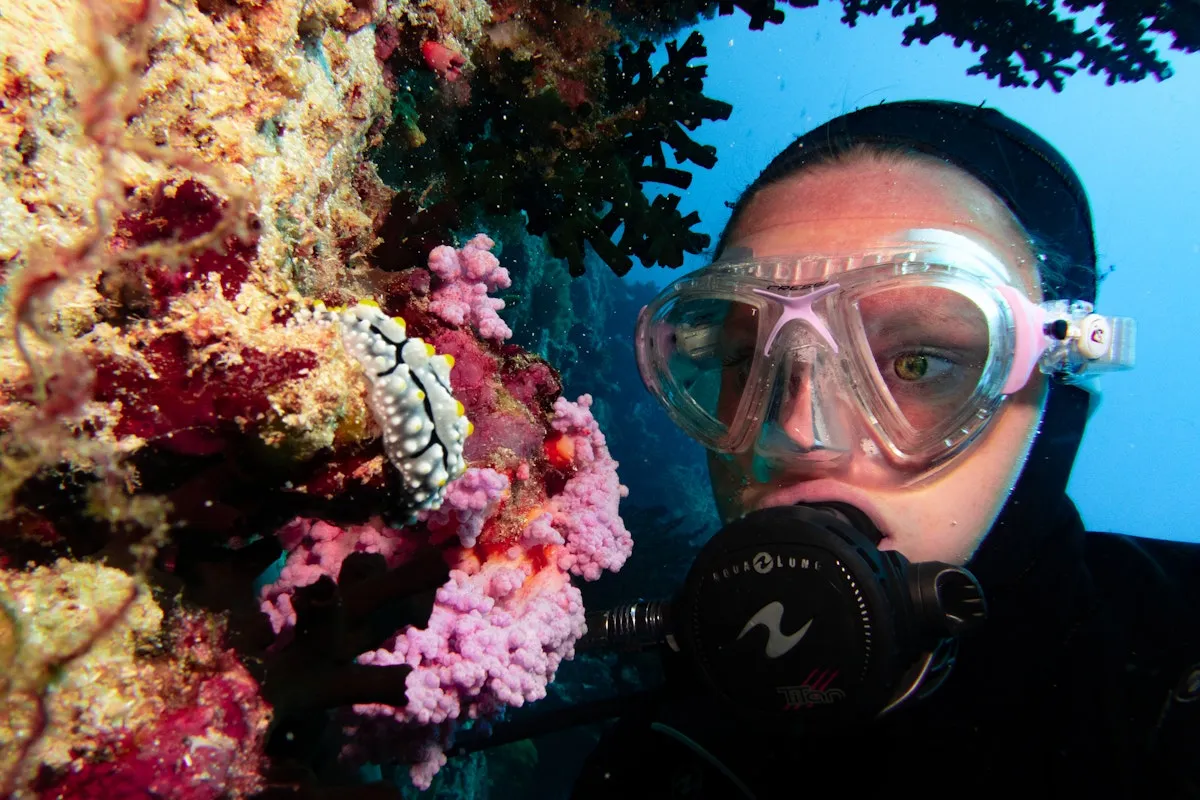 Scuba diver exploring coral reef
