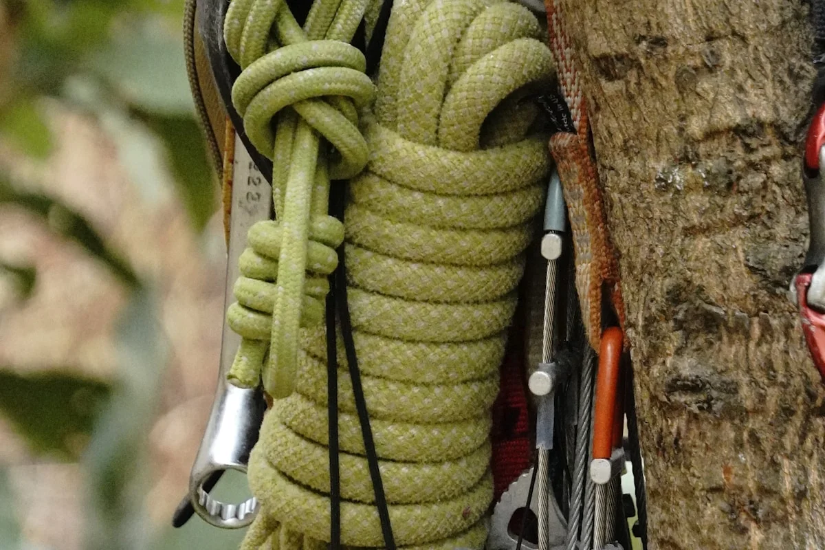 Tree climbing instruction