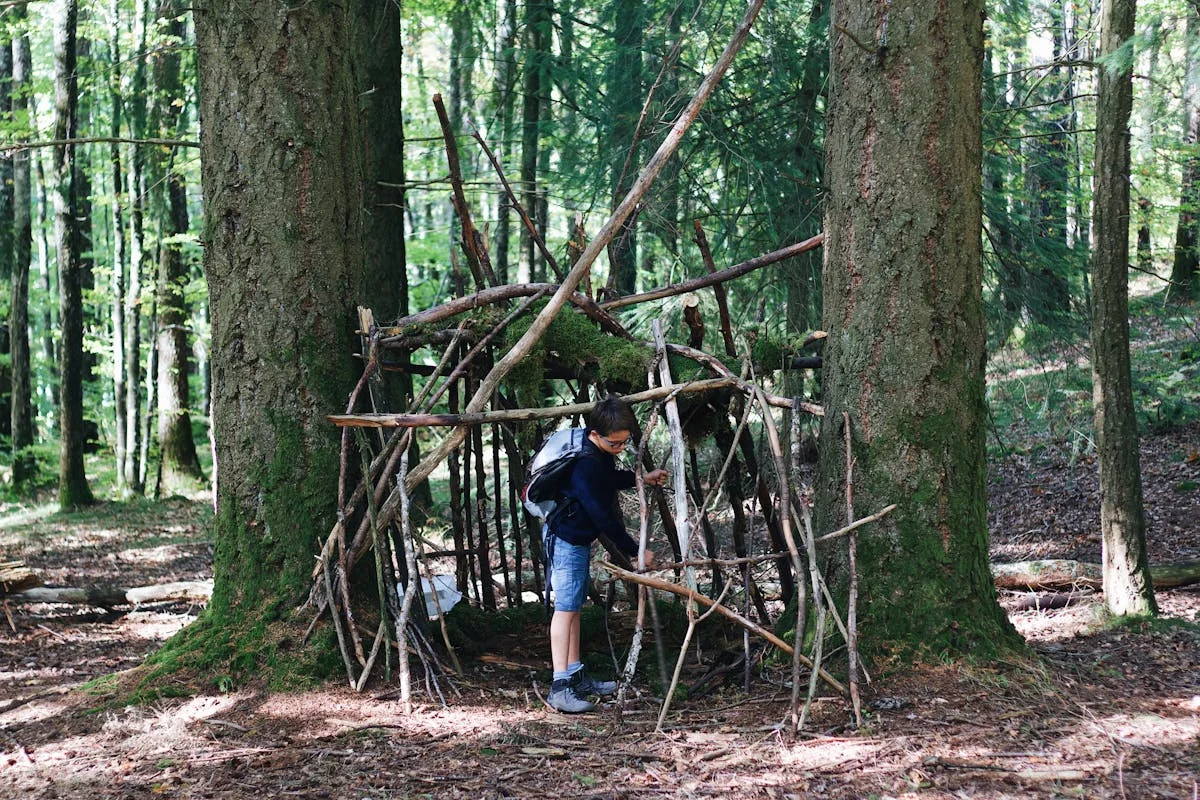 Children engaged in outdoor forest school activities