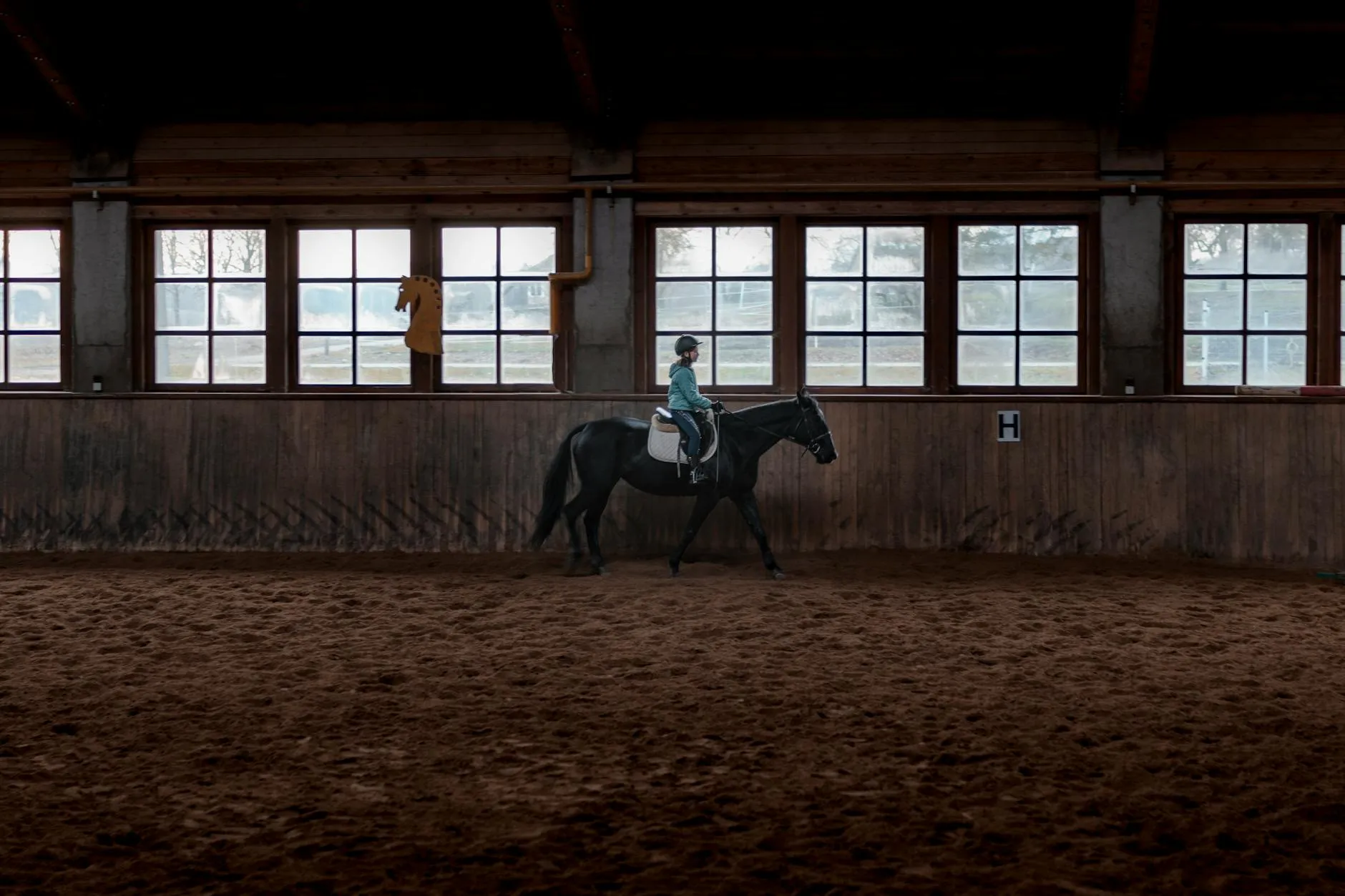 Horse and rider training