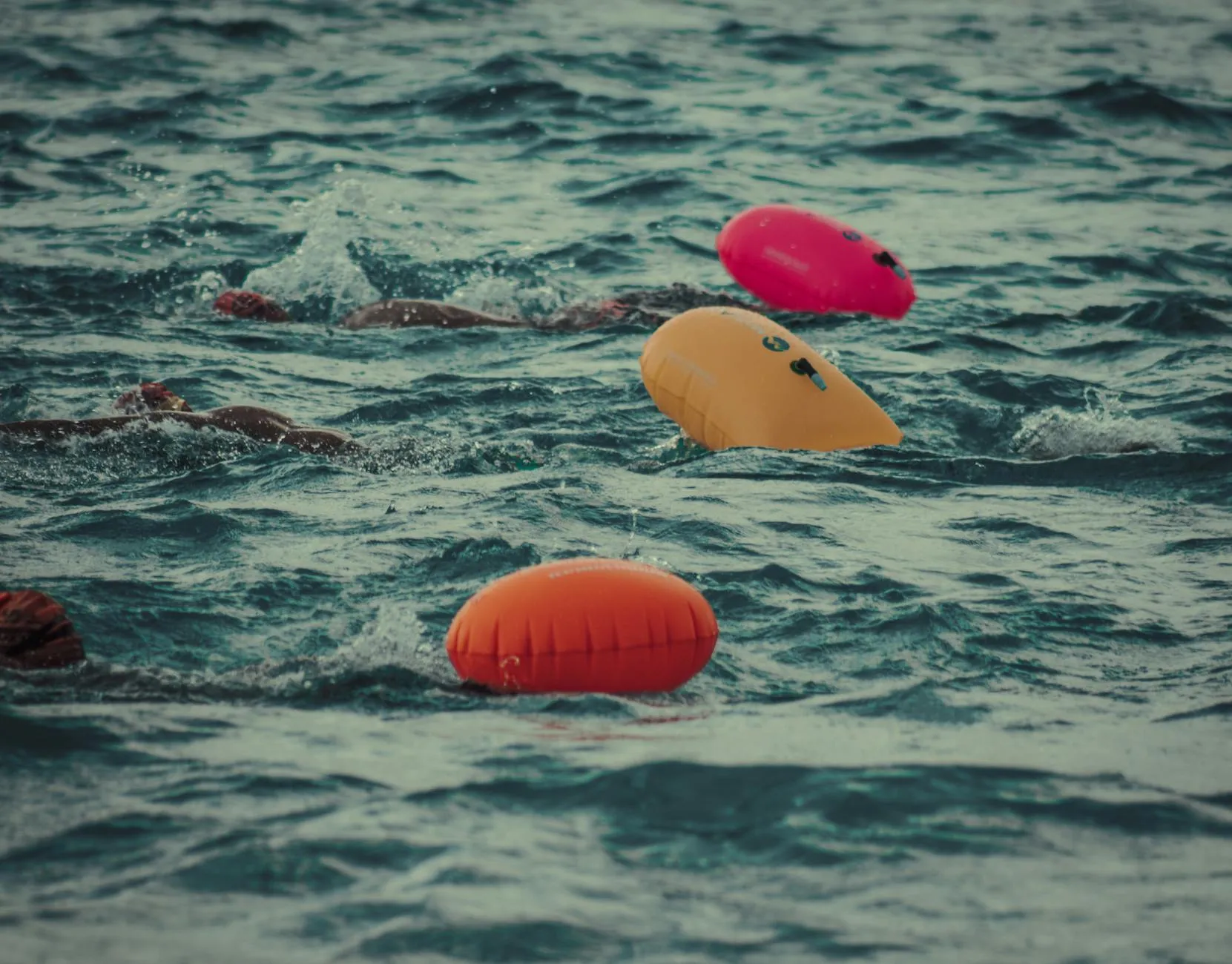 Triathlon swimmers in open water race