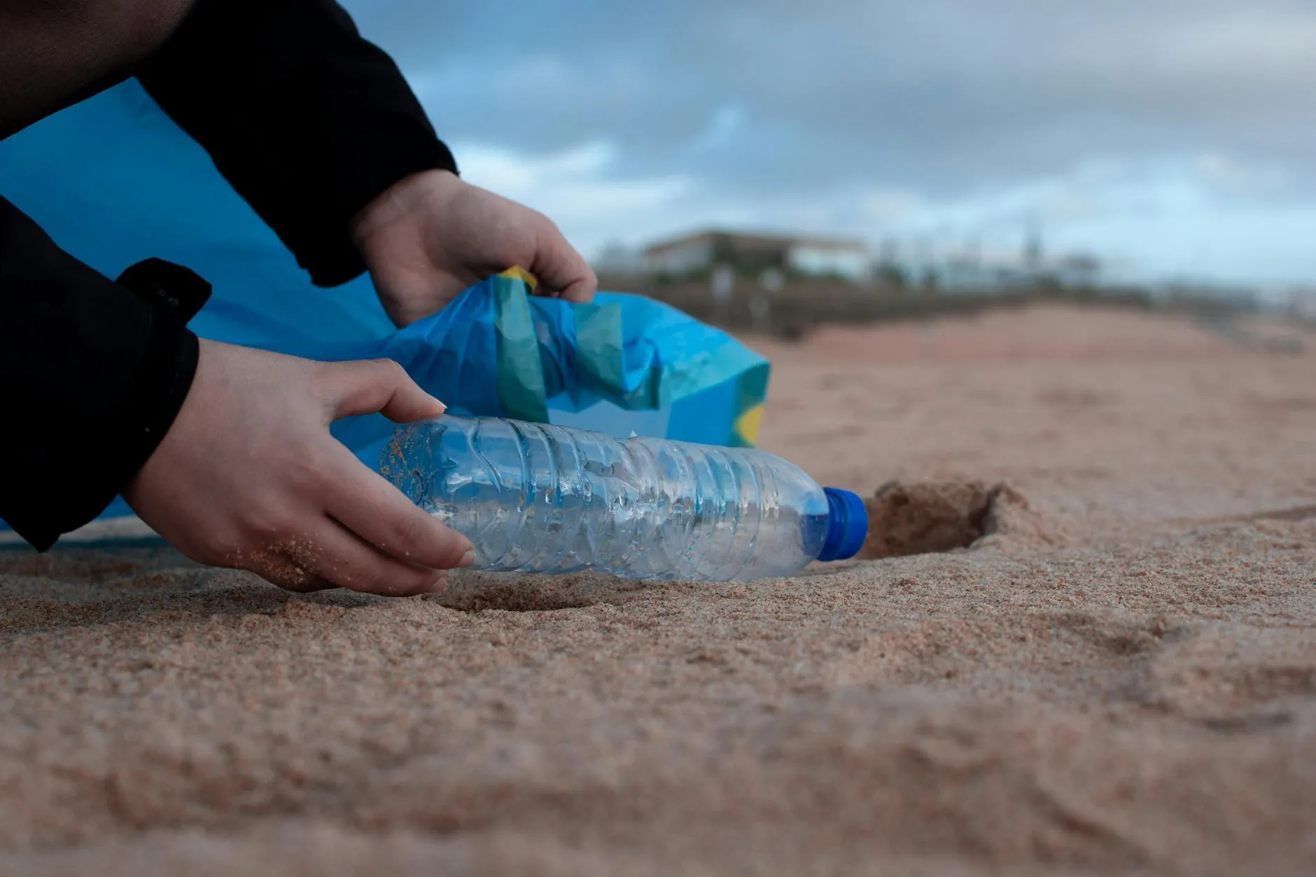 Volunteers picking litter