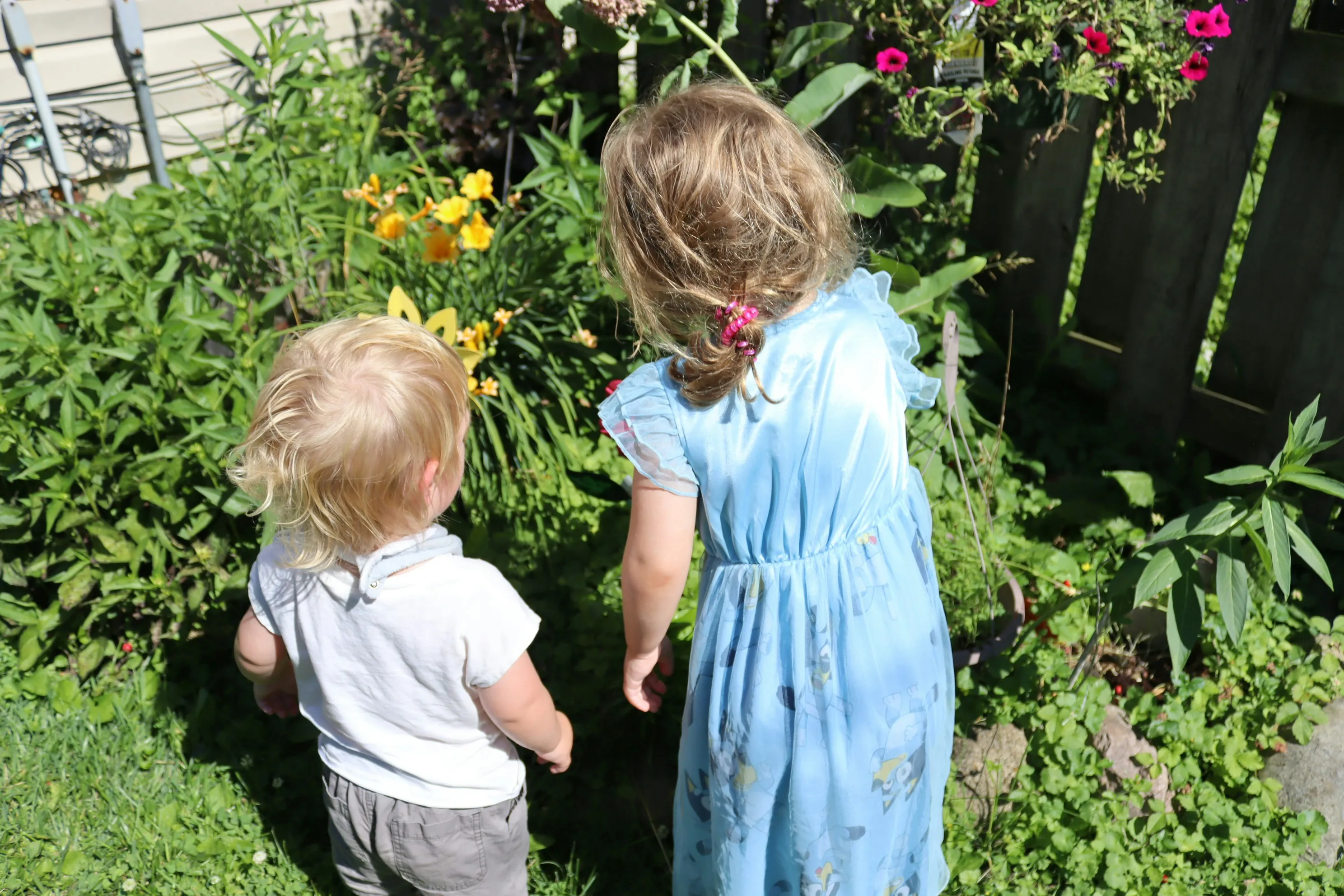 Youth gardening and planting