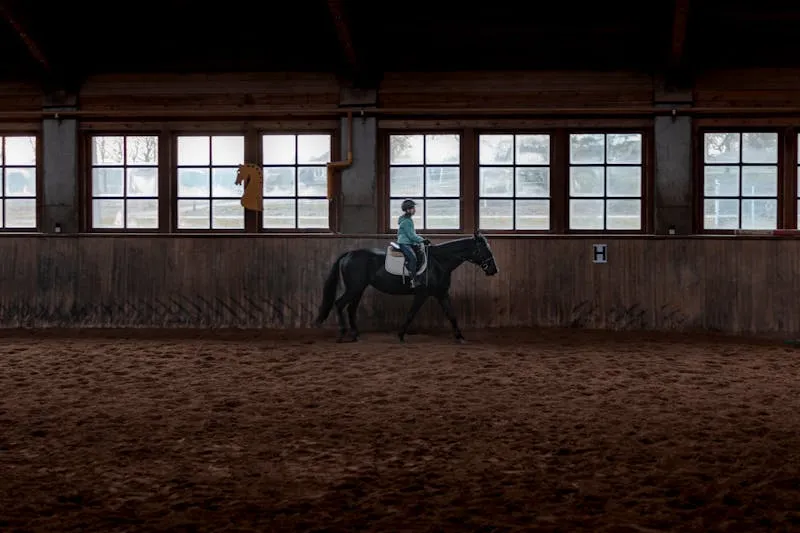 Young rider learning horsemanship