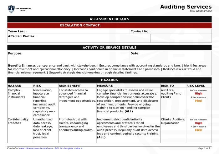 Preview of Auditing Services
